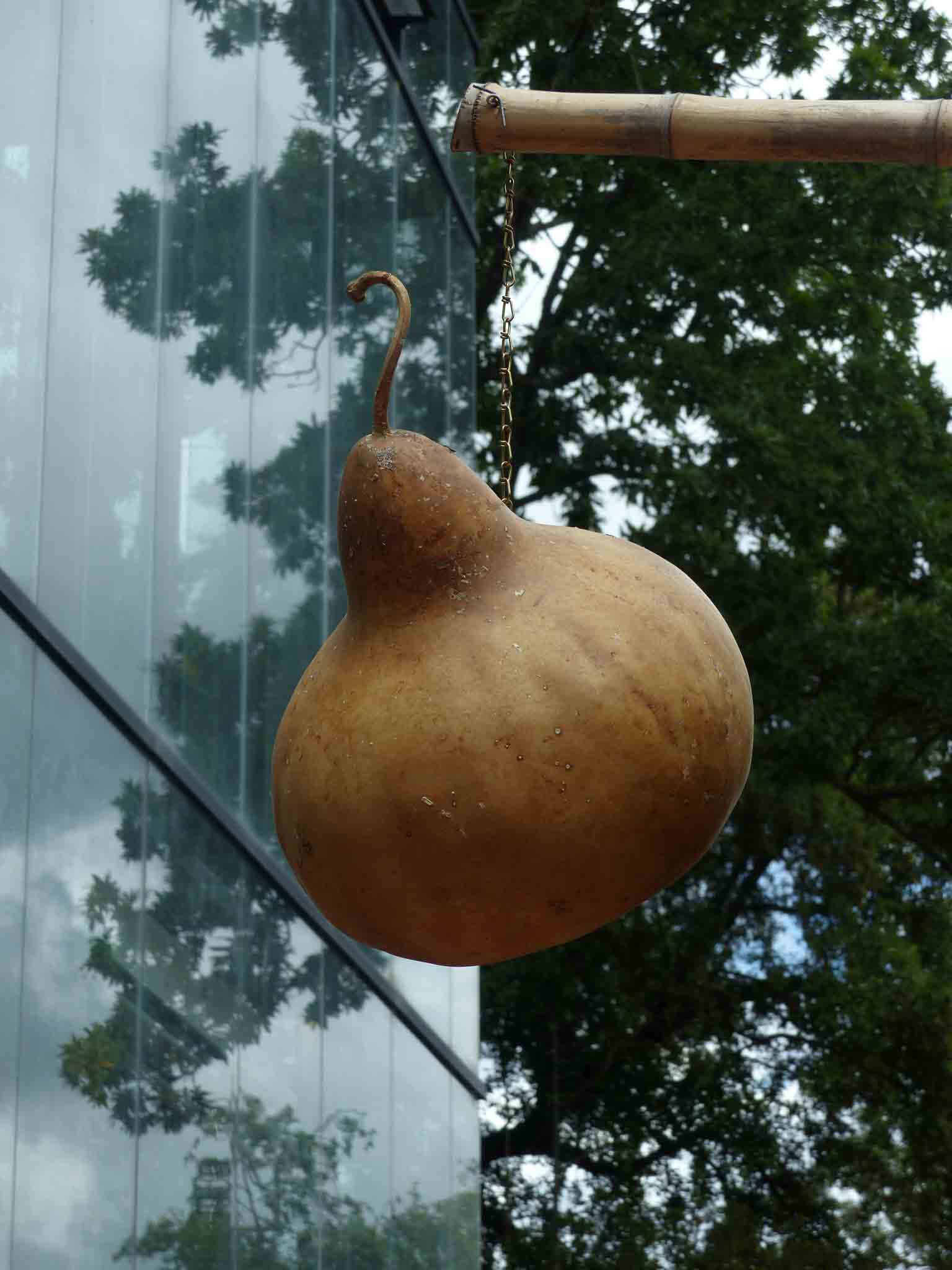 Vue d'une calebasse séchée accrochée à l'entrée de l'exposition "Calebasse, quelle gourde"