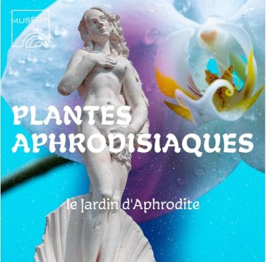 Podcast Plantes aphrodisiaques